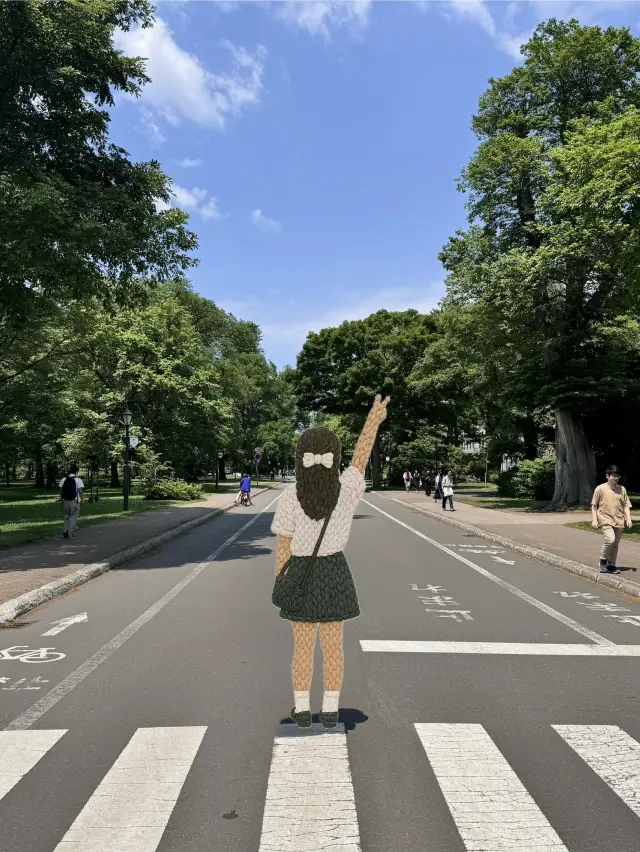 綠意盎然的校園小徑，散步的絕佳選擇