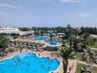 Golden Sands and Gentle Waves of Al Hammamat Beach 