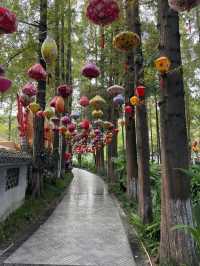 A Leisurely Day at Chengdu Renmin Park