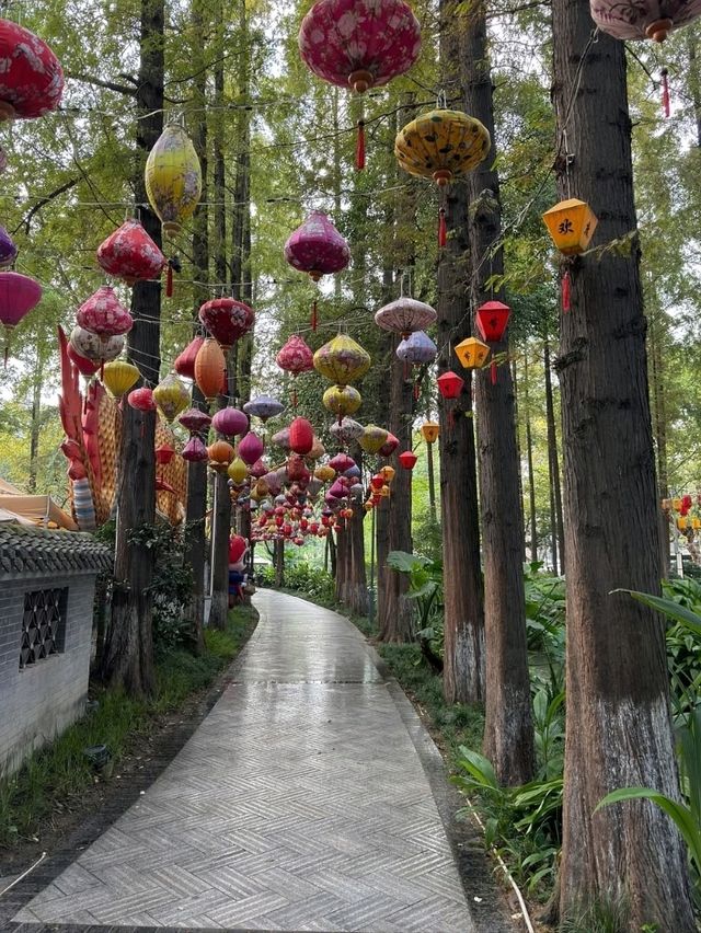 A Leisurely Day at Chengdu Renmin Park