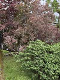 太平山森林遊樂區