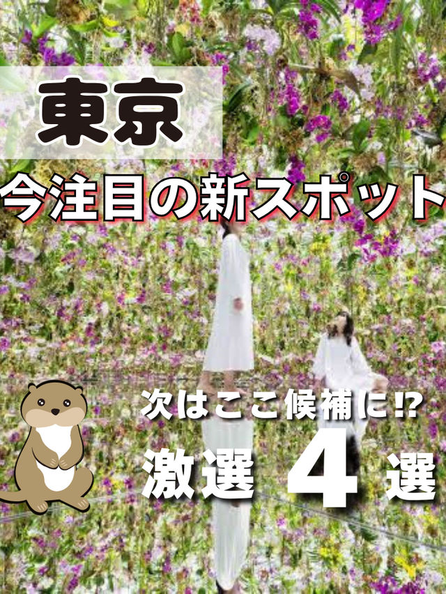 【東京】注目の新スポット4選📸✨次はどこに行く⁉️ 【東京】注目の新スポット4選📸✨次はどこに行く⁉️