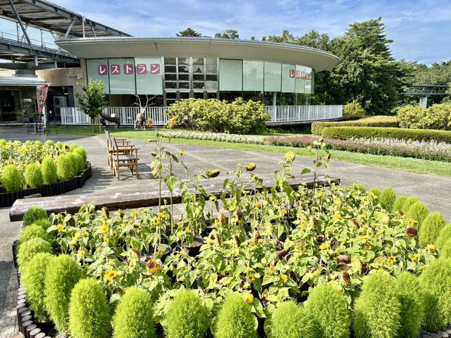 鳥取花迴廊西館（向日葵迎賓大道）
