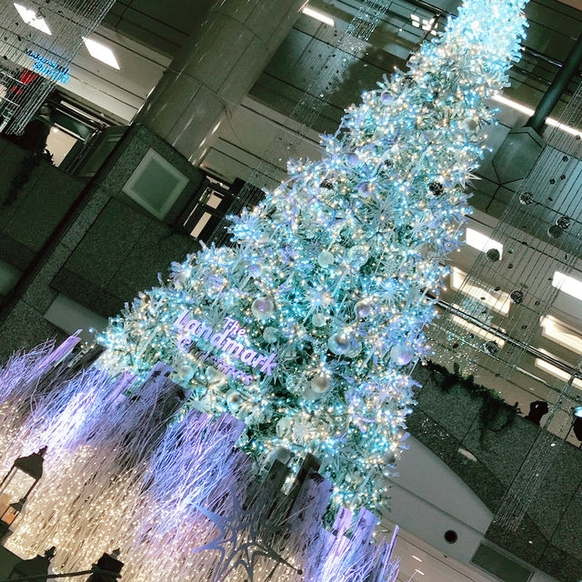 横浜ランドマークプラザのクリスマス: YOKOHAMA MINATOMIRAI WINTER HOLIDAY 横浜ランドマークプラザのクリスマス: YOKOHAMA MINATOMIRAI WINTER HOLIDAY