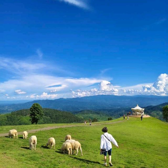 Akha FarmVille  ฟาร์มแกะสุดชิค