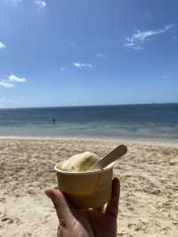 ケアンズ🇦🇺 グリーン島🏝️