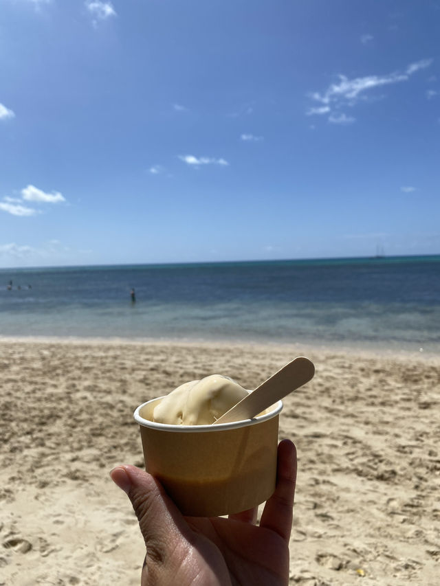 ケアンズ🇦🇺 グリーン島🏝️ ケアンズ🇦🇺 グリーン島🏝️