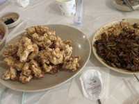 여수 뚜벅이 걸스트립 가이드!