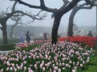 Fun filled day at Ba Na Hills