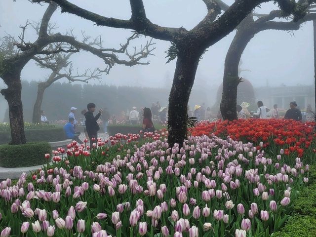 Fun filled day at Ba Na Hills