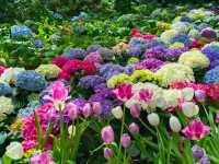 สวนดอกไม้เมืองหนาว นิทรรศน์พรรณพฤกษา จ.ระยอง