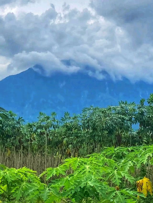 🌿Phnom Samkos Wildlife Sanctuary – Cambodia’s Hidden Wilderness 🌿