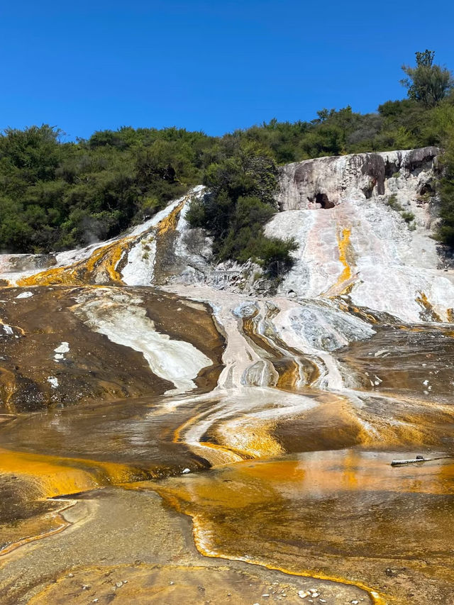 Waiotapu Thermal Wonderland: A Surreal Geothermal 