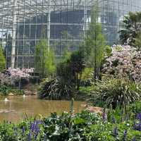Kunming Botanical Garden – Kunming