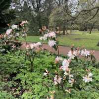 Dreamy Nature in Royal Botanic Gardens (Edinburgh)