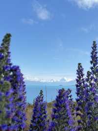 Quick Guide to Activities That I did in New Zealand