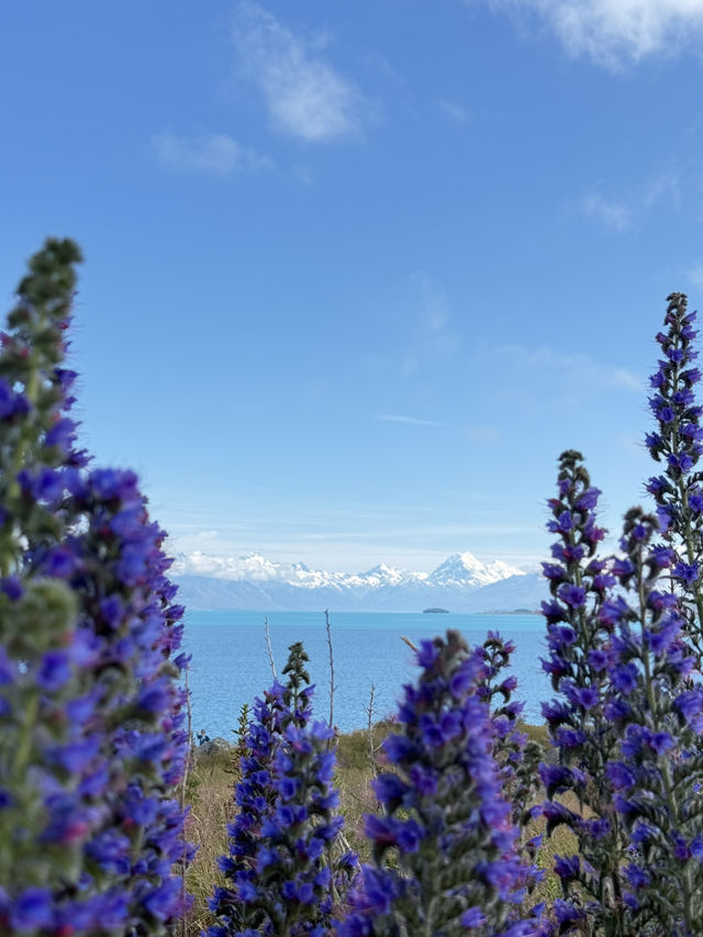 Quick Guide to Activities That I did in New Zealand