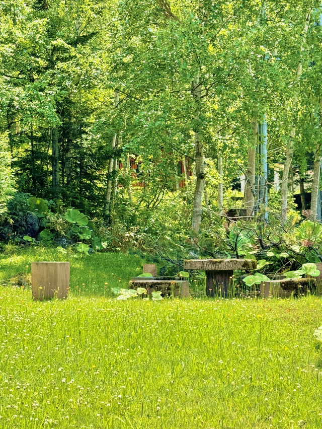 🚐🌾“삿포로 떠나 비에이로 떠나는 감성 투어