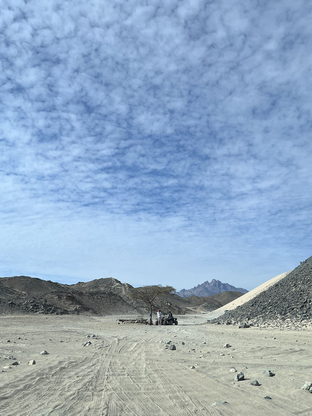 ［埃及旅遊］撒哈拉沙漠🏜️在一望無際的沙漠裡飆沙爬沙丘