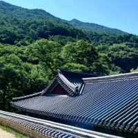 울창한 숲길 끝에 자리한 웅장한 사찰
