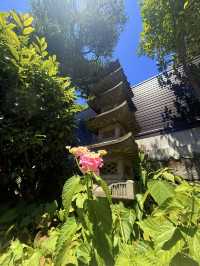 鐮倉｜不只櫻花季絕美 在荷花最美季節造訪鶴岡八幡宮