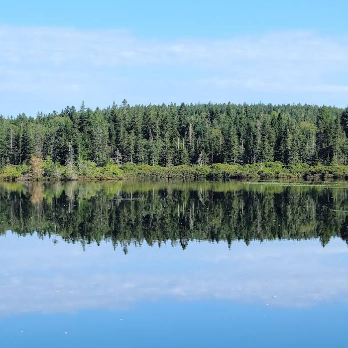 Roque Bluffs State Park – Where Maine’s Shore, Forest & Pond Become One
