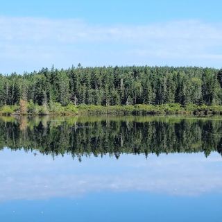 로크 블러프스 주립공원 – 메인의 해안, 숲, 연못이 하나로 어우러지는 곳