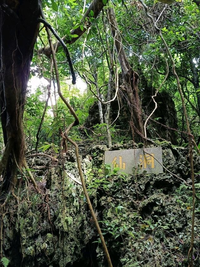 墾丁國家森林遊樂園