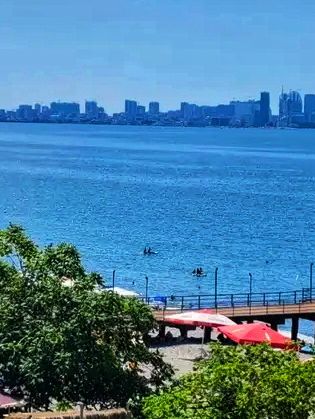 🌿 Batumi Botanical Garden – A Green Paradise by the Black Sea