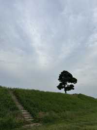 🌳 청주 정북동토성, 드넓은 초원 위 인생샷 🌿
