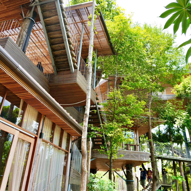 บ้านต้นไม้อวดชุม คาเฟ่บ้านไม้ริมทะเลชุมพร