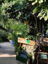 🌳 "บ้านต้นไม้" ที่พักและคาเฟ่สุดชิลล์ในเชียงดาว