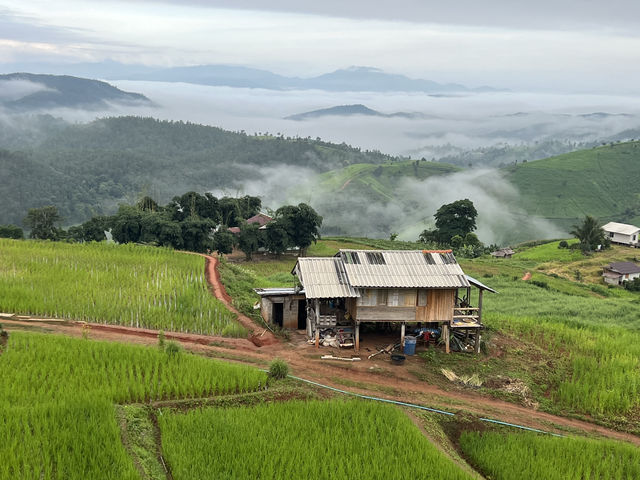 บ้านพักดูเลเล ป่าบงเปียง