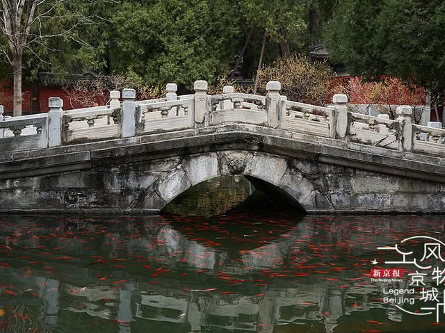 🏯 Shifang Pujue Temple — One of Beijing’s Oldest Buddhist Temples