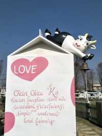 親子同遊的雲林療癒景點🐄#【千巧谷牛樂園牧場】-雲林縣崙背鄉