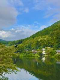킨린호수 산책 & 자전거 데이트🚲🌿