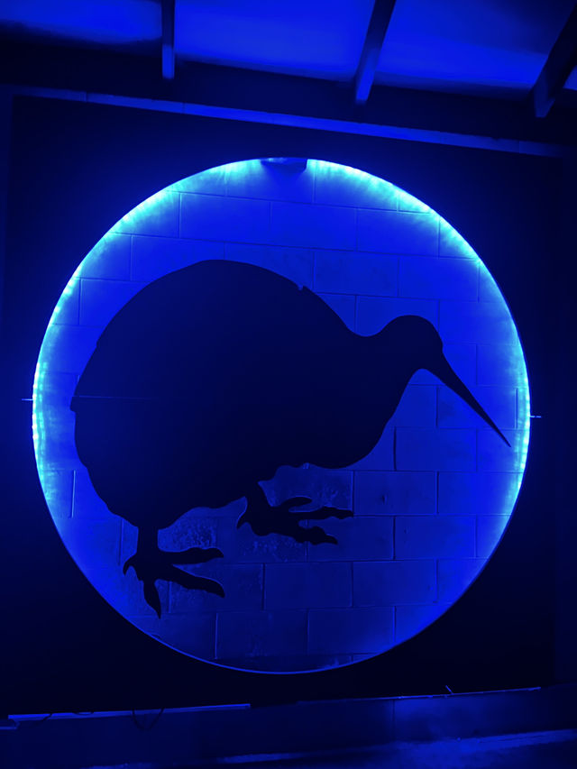 坐纜車上Skyline俯瞰美景  