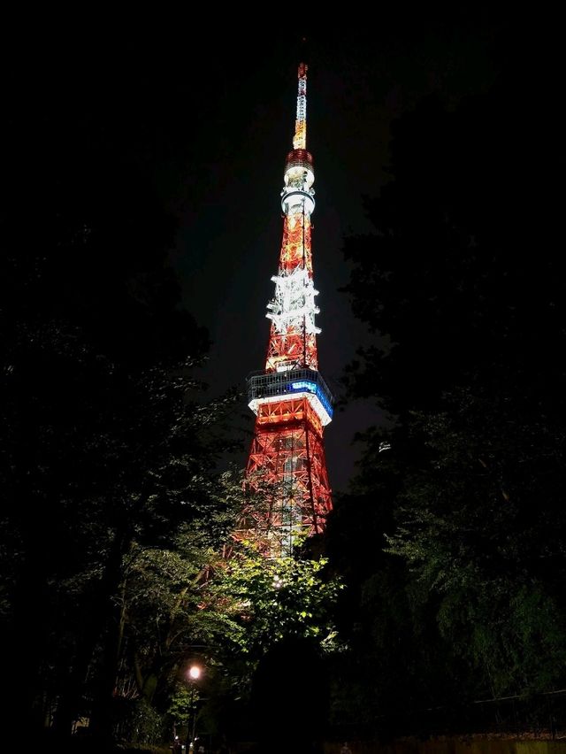 도쿄의 심장, 333m 밤을 밝히는 도쿄타워🗼