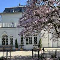 Arboretum Kalmthout
