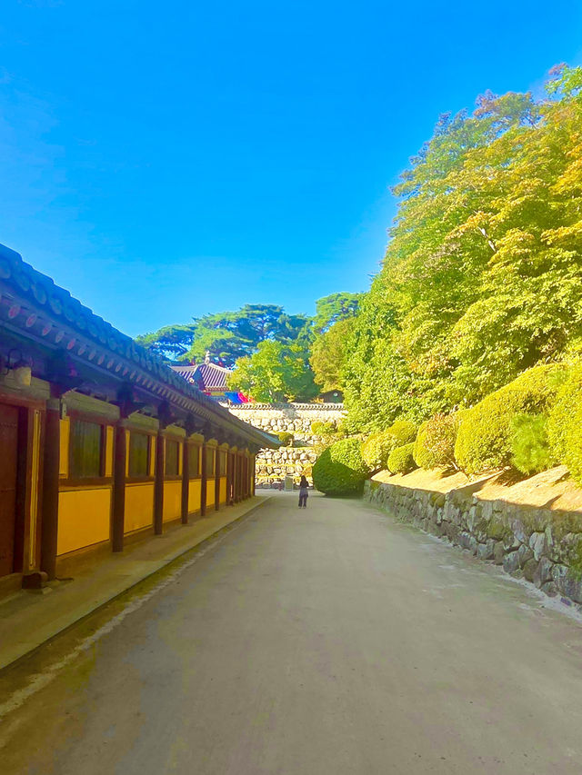 🍂 가을엔 불국사 산책 어때요? 🏯