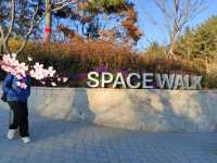 space 🌌 walk