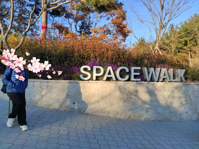 space 🌌 walk