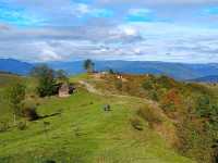 Quaint Traditional Villages