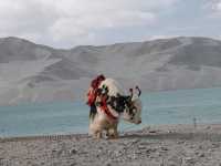 Bash Lake: Another Encounter with Shifting Skies