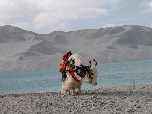 Bash Lake: Another Encounter with Shifting Skies