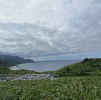 北海道神威岬自然公園