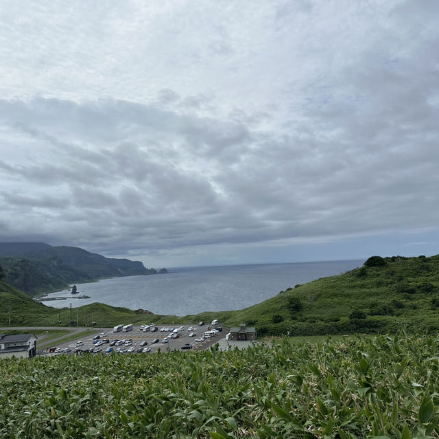 北海道神威岬自然公園 北海道神威岬自然公園