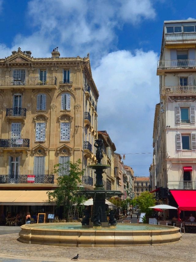 니스 근교 여행 : 다양한 매력의 칸 시내 구경 🇫🇷