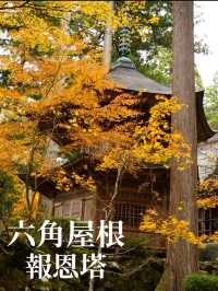 美しい6角形の塔(写経を納める塔)と紅葉の美しさ。