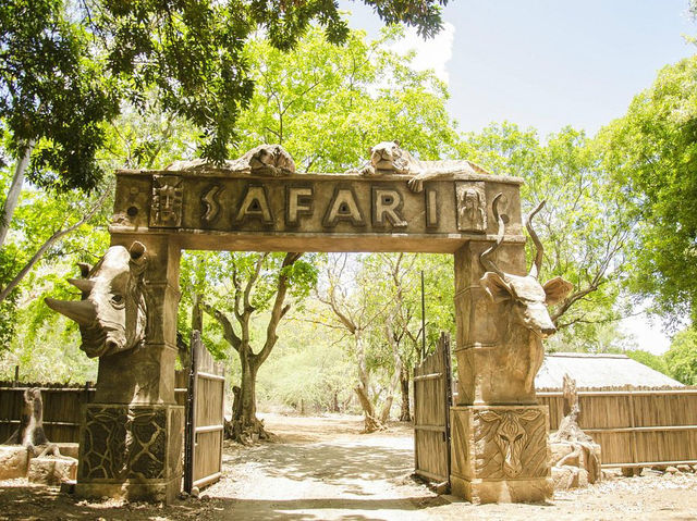 Casela Nature Parks - Warm & caring moment ❤️